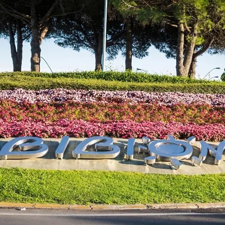 Bright 200mt From The Bibione