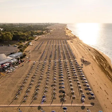 Bright 200mt From The